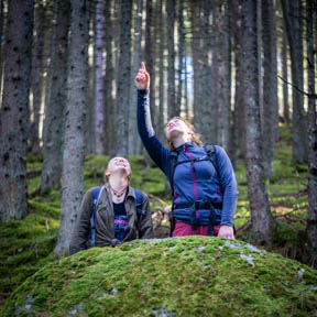 16-Wald, zeigen.jpg